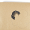 b5f-p196to4k031t0s10vo1h1p73tt8u9.png