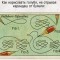 7f6-p197v8arlc1dt77k01q3hth8tcm9.jpg