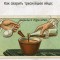 7f6-p197v8arlc1vbolst16cp1nd01qsh5.jpg