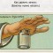7f6-p197v8arlce4fu2i78dhhd1emf6.jpg