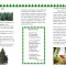 ca7-p199odl0fo759odsa4i4vt11je7.jpg