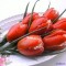 828-p19aa3ml7o1llslv3fc17rj1abve.jpg