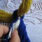 c3c-p19hf57sl972c1auq15ua1b0ad4o9.jpg