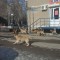 764-p19hi5mhc2km01irc1dam1lhm6l24.jpg