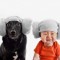 fd9-p19ks0spse9qoaged4a4tfehg4.jpg