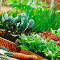 bd3-p19ldb08d51t731tel1vg8nb817p44.gif