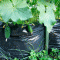 b04-p19m4fijabcej1gqrqju1lha12e14.gif