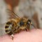 f0e-p19rpg9gj8u9b8kb1r671c3j1na84.jpg