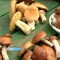 040-p19s05r86cghv109u133u1i18gba7.jpg