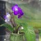 6f7-p1a26g9bfa18t6sco1pbla77uolb.jpg