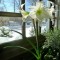 d75-p1a3sf7m2p8jlnt21ffs147r175m4.jpg