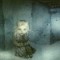 075-p1a7iro8ni5ceocq16vk111hdmg4.jpg
