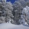 ddb-p1a8j07vesmqn1fkg1g7v1mbj161i4.jpg