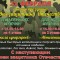 410-p1abtufbid1ssu1k11pg8qaquru5.jpg