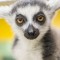 410-p1abtufbie9rc703f41ste9dbh.jpg