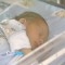 059-p1al7gcb4k1rlt15c0mf2qmom2i5.jpg