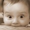 035-p1aq494ugk1ajppeduh2t8h1ngg4.jpg