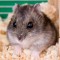 85d-p1as8s69d11ffp1u6l911odvvl24.jpg