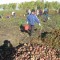 035-p1asljuuilltb1b11bq37v15f4.jpg