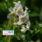 98f-p1bm1kh21916f159r4b1s961gbe4.jpg