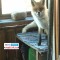 785-p1bt993hjm11akbbr7ihq2911ob8.jpg