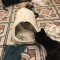 fe6-p1c768h5sj7jka3s1efkml3kia7.jpg