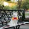 a7f-p1ckr59cqoattduh1sncssp1dog4.jpg