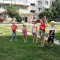 aa3-p1dg6n239vn6v195b1re8ji51gje4.jpg