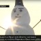1a1-p1e1gd8jal6ih1jbsosn15v014h64.jpg