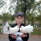 c0f-p1eq7db8121uul9ll190advr145d4.jpg