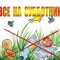fec-p1f32g39nevsi1vimjob1ttj1mv34.jpg
