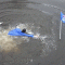 318642b_1322744088.gif
