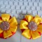 dsc00703.jpg