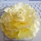 dsc00720.jpg