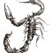 scorpion.jpg