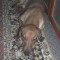 100_01561.jpg