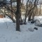 sam_0444.jpg