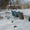 sam_0445.jpg