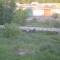 e0a99d75163f9e6dd12a13dcfd4c9068-p1000053.jpg