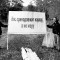 8fb7a2411ffba34af083654ff57629f1-palatka_dsc_03561.jpg
