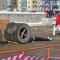 18bf779594b86778b85beb2f37e66c96-dsc_05752.jpg