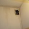 90686d3948ad7f8824c20dd1d98ed6d4-dsc04727.jpg
