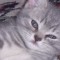 bffb03c13abf8d4650a566dc911b4a67-sdc12735.jpg
