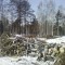 f86fea8547e512adaa20810354e40aff-foto-0025.jpg