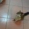 5c7b2d7e63d76af940c1c708ed44783d-20130612_140330_6_bestshot.jpg