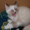 DSC_0242.jpg
