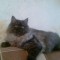 ffc1bda8ea55f70f4829d31810ff1d2b-liza.jpg