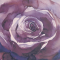 fddeebbb7ffdd89422c83bbb5d1a5152-1134-preview27.png