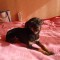 98107db6fb0758d2460f48fcd9f0feba-dsc03255.jpg