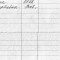 409-p1ab7b4kcmm5hh6aqvvgtq199t6.jpg